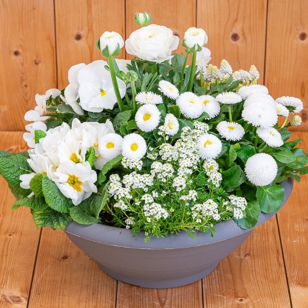 Blumen Bosch - Schale in weiß